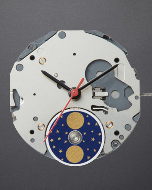 6p24 Movement